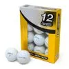 Titleist Pro V1 Grade B Recycled / Lake Golf Balls